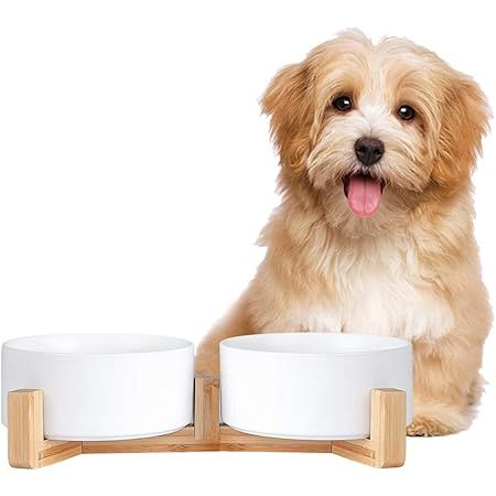 Ceramic Dog and Cat Bowl with Wood Stand Non-Slip Matte Glaze Weighted Food Water Set for Cats &S... | Amazon (US)