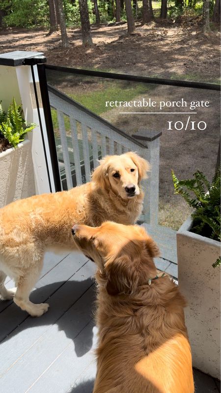 Found this retractable porch gate on Amazon for the dogs & I LOVE IT🐾✨👏🏼 comes in several sizes if you dig a little — can be outdoor or indoor! Keeps them safe on the porch to hang out which I love! 

Dog mom / home finds / Amazon / Holley Gabrielle 

#LTKhome #LTKsalealert #LTKfindsunder100