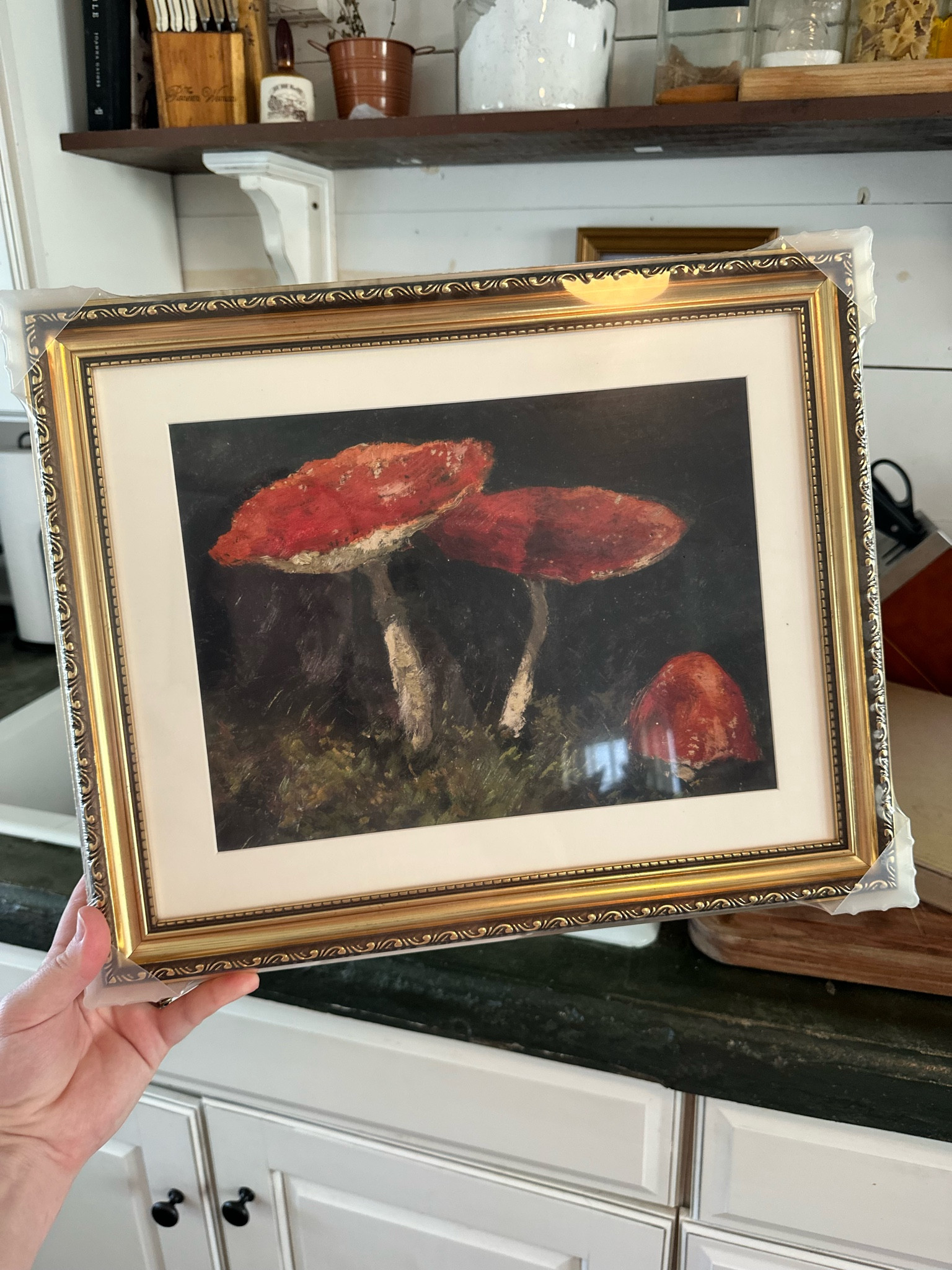 Obsessed with amazons vintage art. 

#LTKFindsUnder50 #LTKHome #LTKSaleAlert