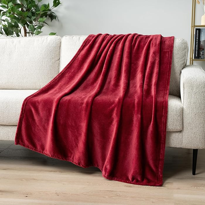 PAVILIA Wine Red Fleece Throw Blanket for Couch, Maroon Burgundy Soft Fuzzy Flannel Throw for Sof... | Amazon (US)