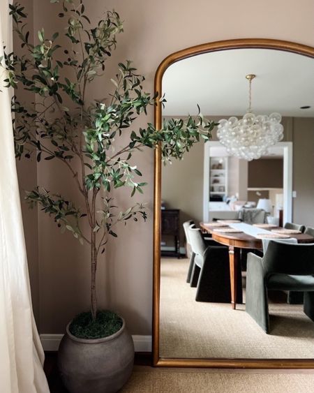 Love this stunning olive tree in our dining room! 

Amazon, Amazon home decor, wall decor ‚traditional home decor, modern home decor, bedroom, living room, entryway, dining room, mirror, accent mirror, leaner mirror, gold mirror, Amazon home, Amazon finds, budget friendly mirror, faux tree, olive tree #amazon #amazonhome




#LTKhome #LTKunder100 #LTKstyletip
