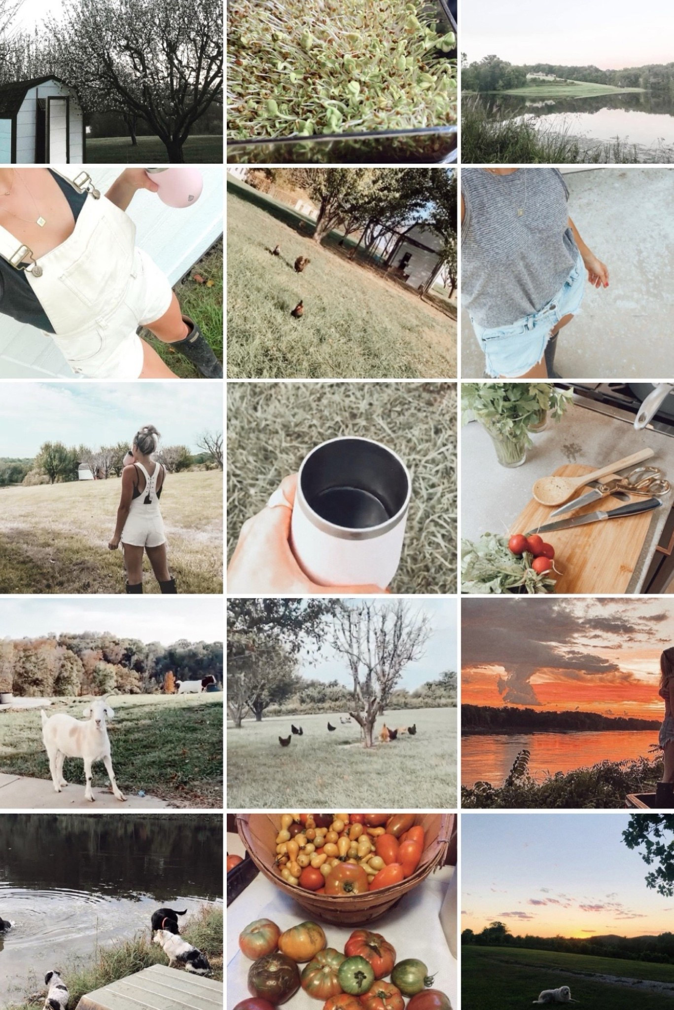 farm essentials 👩🏼‍🌾👢🌾🐓🐄🐐

#LTKU #LTKWorkwear #LTKFamily