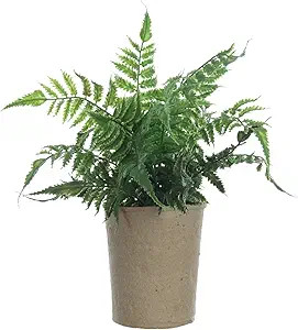 Creative Co-Op Fern in Paper Pot Faux Botanical, Green | Amazon (US)