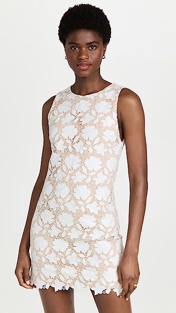 Clyde Shift Dress | Shopbop