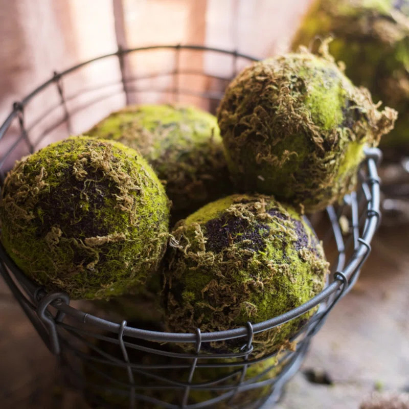Everton Decorative Moss Ball | Wayfair North America