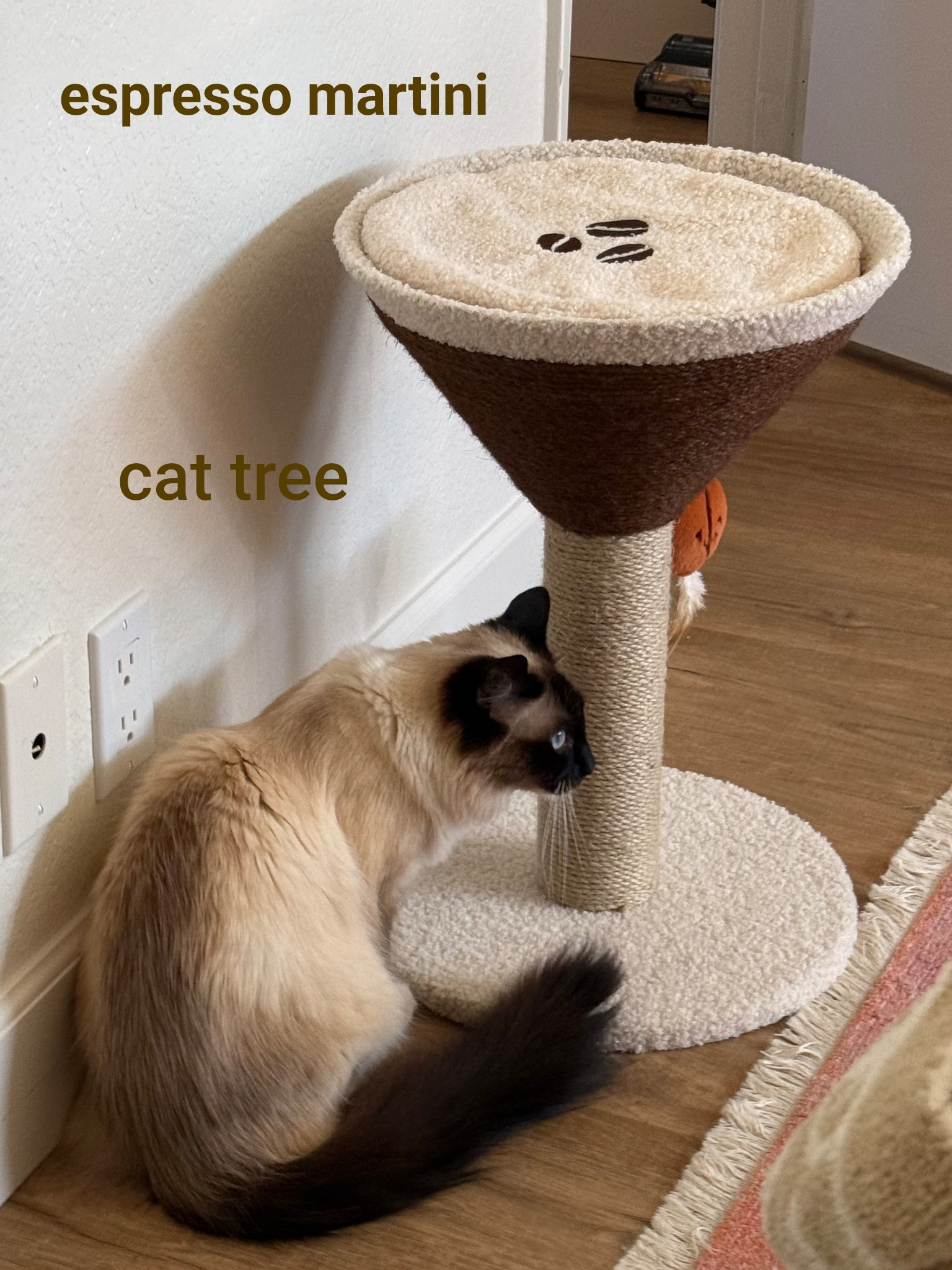 Only $35 with code NEWPETCO15 🤎 must create a new account + online shipping only  

#LTKFamily #LTKFindsUnder50 #LTKHome