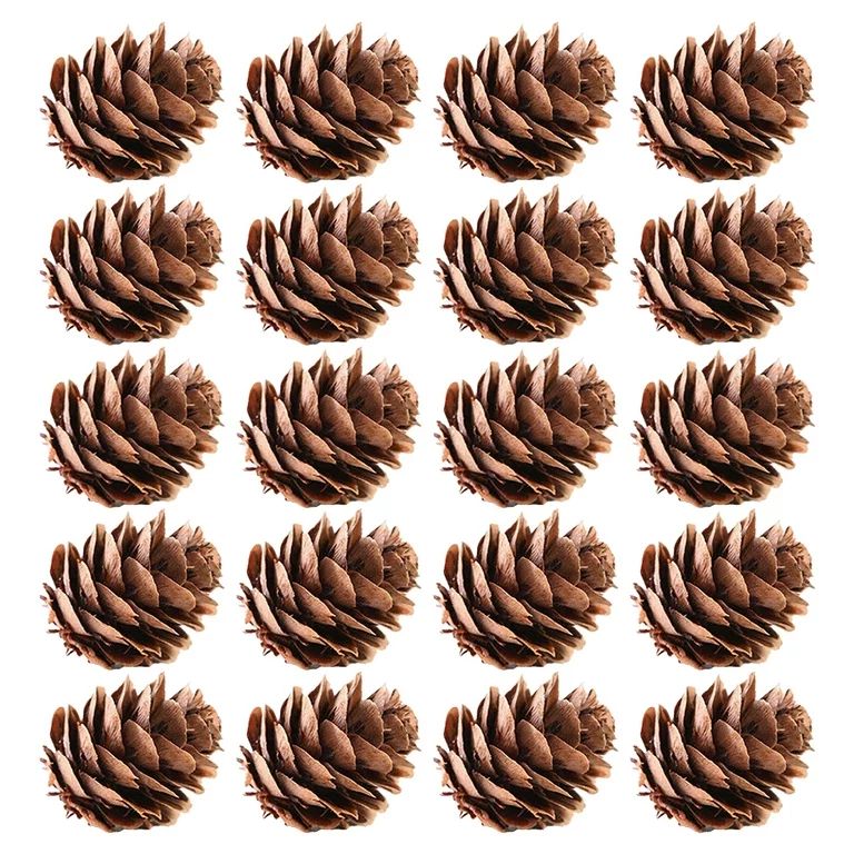 Eastshop 20Pcs Attractive Fake Pine Cone Widely Use Natural Decorative DIY Simulation Pinecone fo... | Walmart (US)