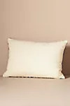 Embroidered Creek Pillow | Anthropologie (US)