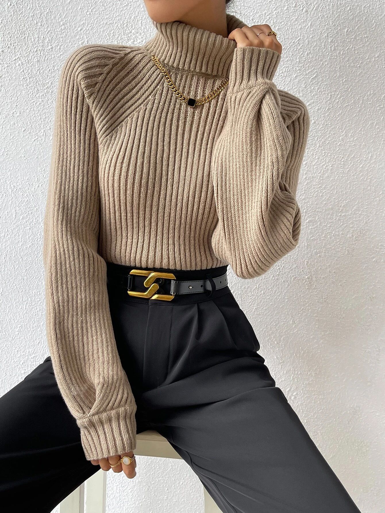 SHEIN Frenchy Turtleneck Raglan Sleeve Ribbed Knit Sweater | SHEIN