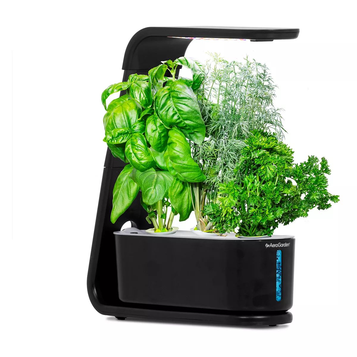 AeroGarden Sprout Countertop Garden Kit with Gourmet Herbs Seed Pods | Kohl's