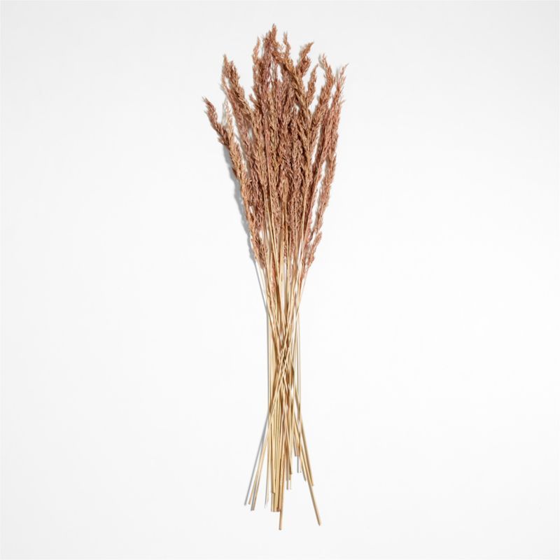 Dried Mauve Oats Bunch | Crate & Barrel | Crate & Barrel