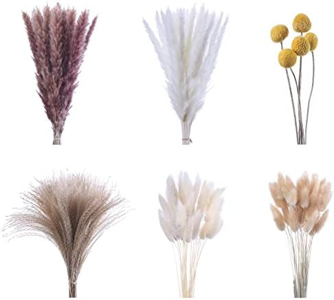 Sotue 125 Pcs Dried Pampas Grass 17 Inch White Pompas Bouquet Fluffy Dry Pompous Bunny Tails Flow... | Amazon (US)