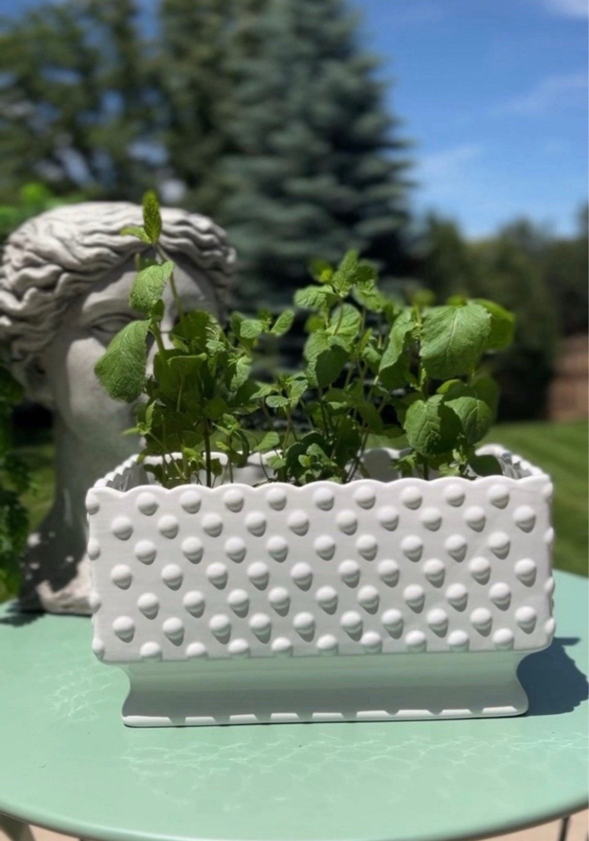 Planted a little mint herb garden in one of my favorite white hobnail planters 🌱



#LTKSaleAlert #LTKHome #LTKSeasonal