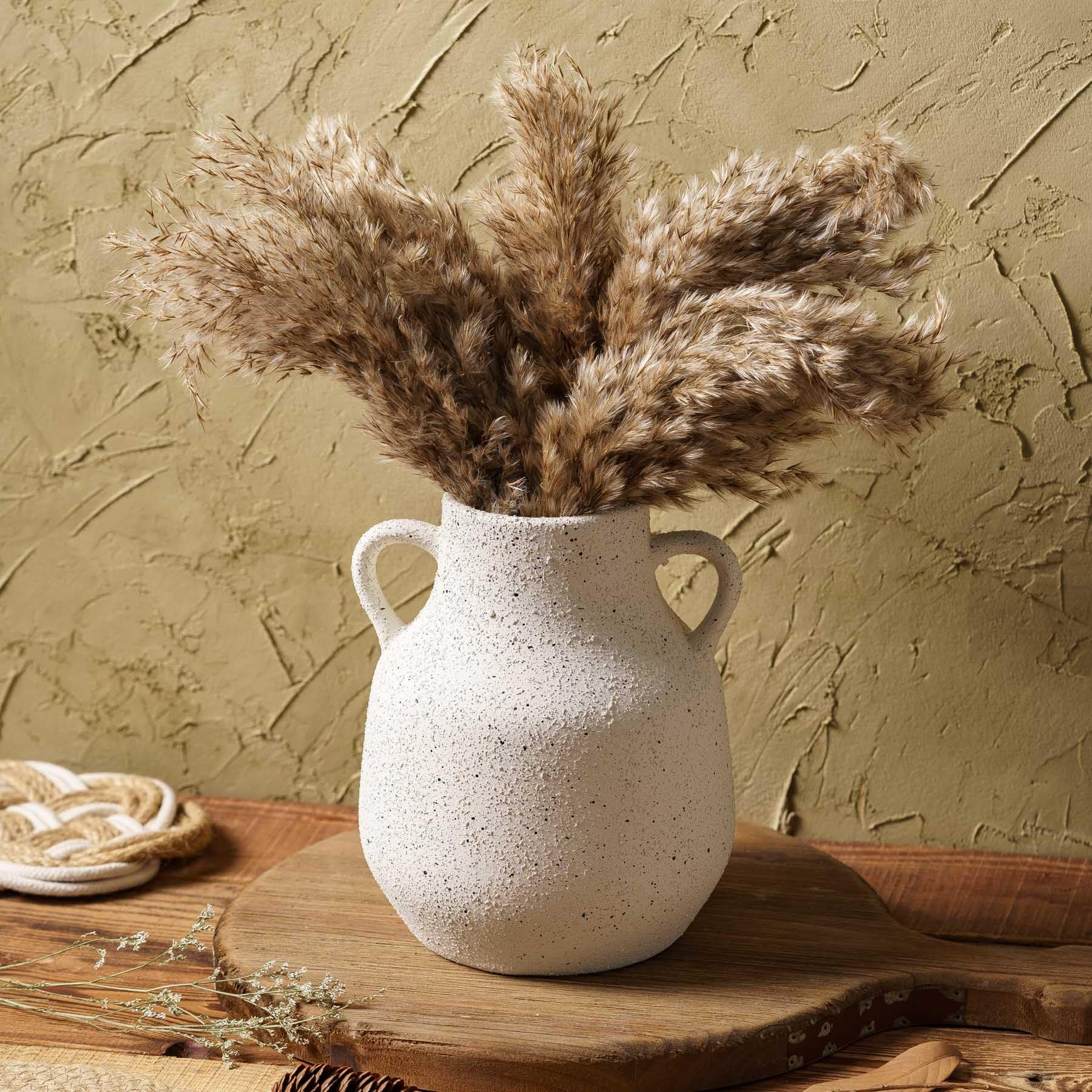 Vintage Farmhouse Flower Round Ceramic Vase with 2 Handles, Rustic Pampas Grass Vase, White Moder... | Amazon (US)