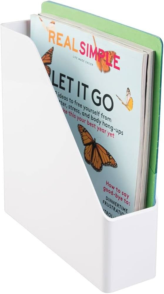 mDesign Plastic Slim Vertical File Folder Bin Storage Organizer with Handle - Hold Notebooks, Bin... | Amazon (US)