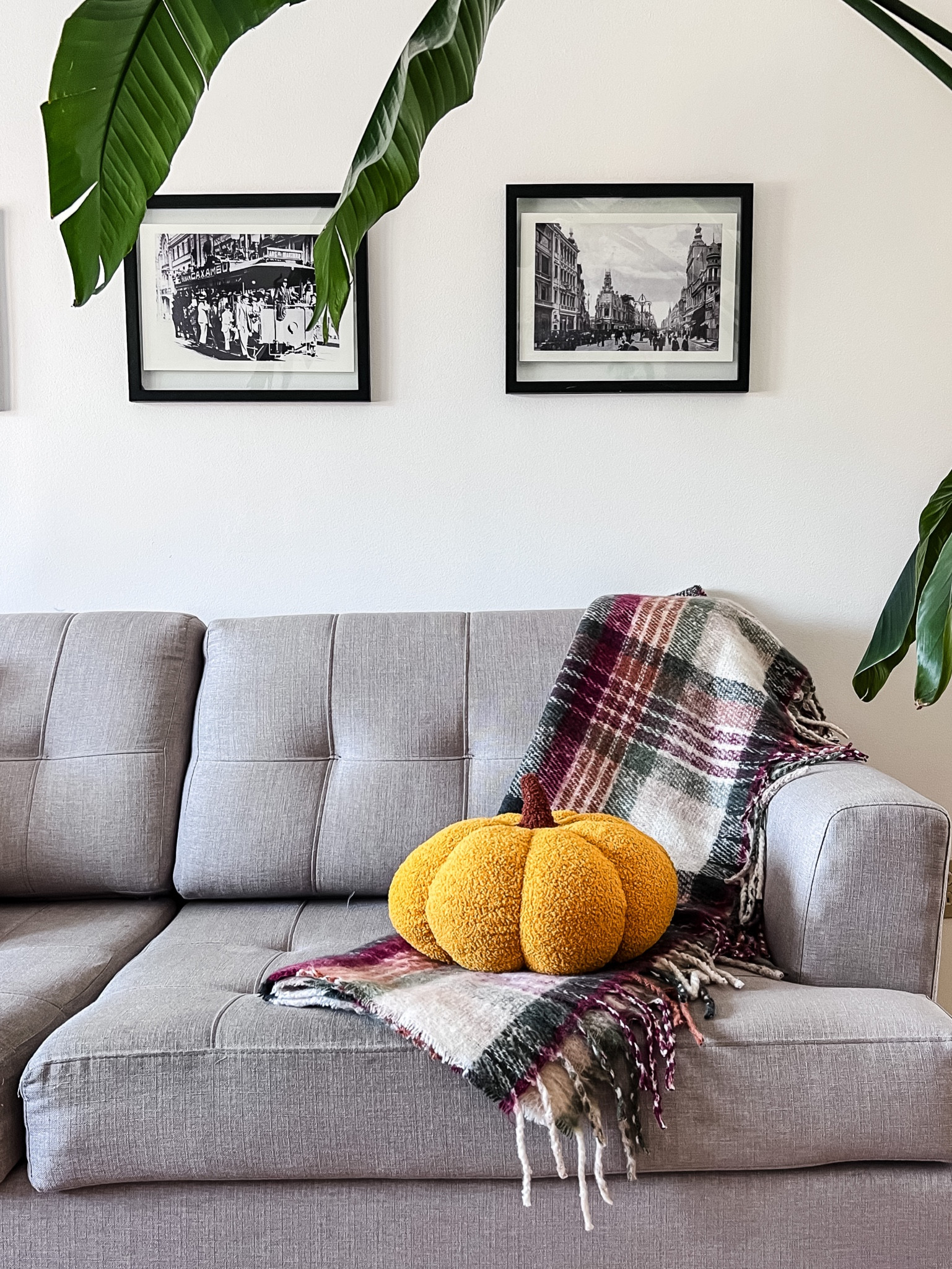 I like to add subtle fall touches to my decor. In my sitting room I swapped to pumpkin cushions and tartan throw. 
See some similar options for you to do at home 

#LTKHalloween #LTKhome #LTKSeasonal