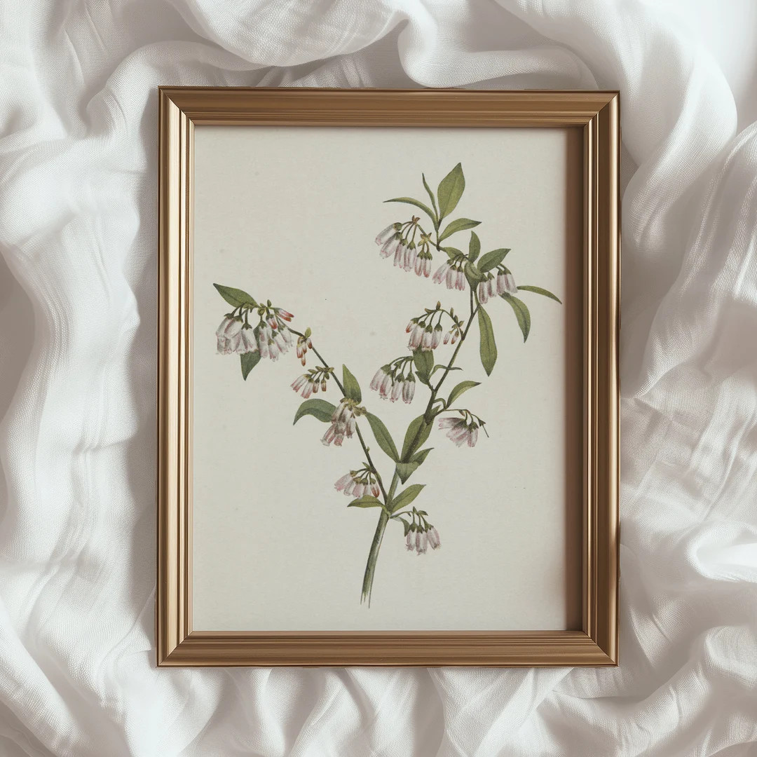 Botanical Still Life Illustration Vintage Floral PRINTABLE Wall Art Neutral Antique Plant Print A... | Etsy (US)