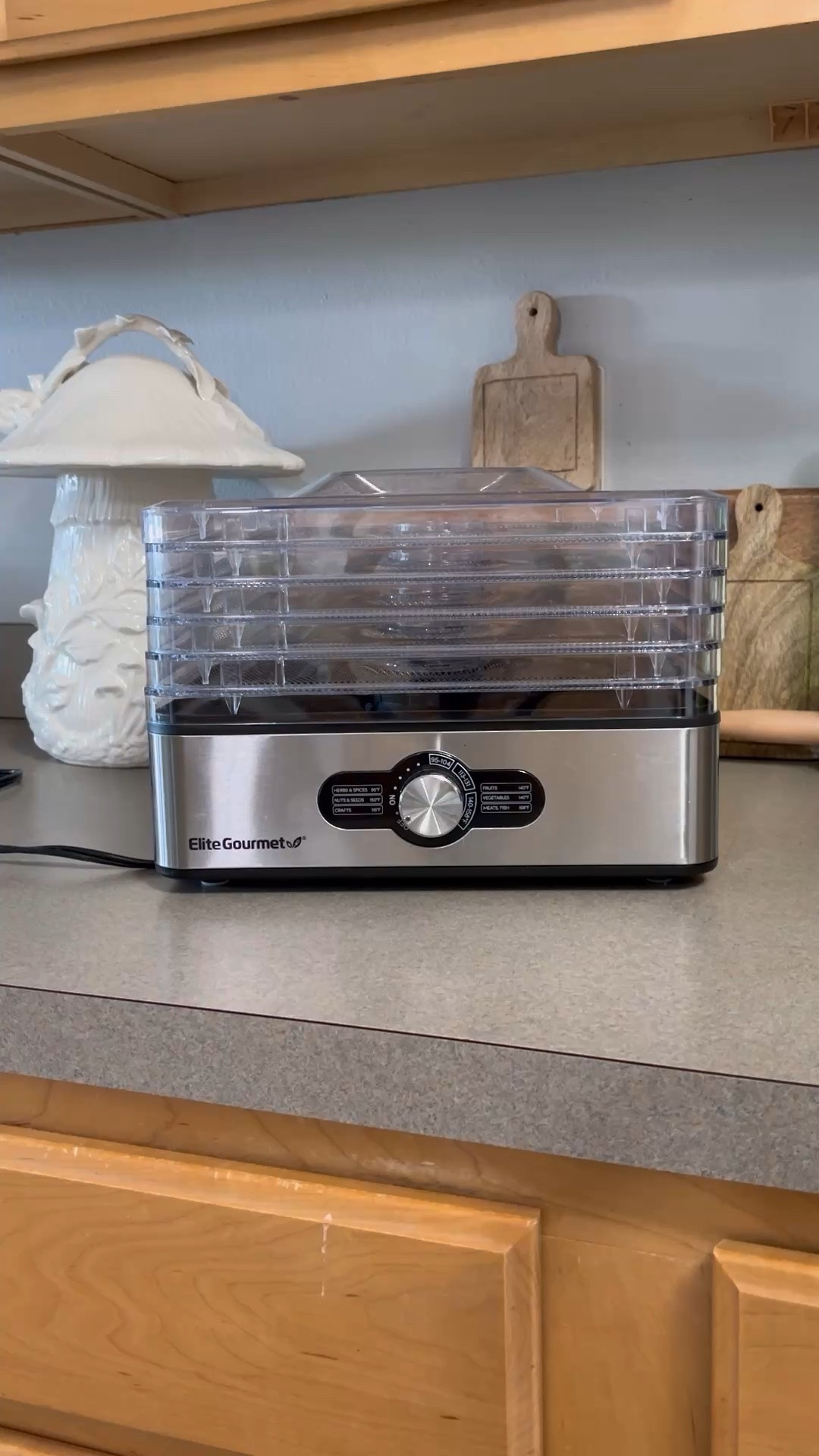 Food dehydrator for crafting, meats, fruits, veggies, and herbs! Make all your favorite dried snacks at home with this super affordable food dehydrator. Easy to clean, energy efficient, and great for cooking or crafting! Food dehydrator, gift idea, Christmas appliance, kitchen appliance 

#LTKFindsUnder100 #LTKFindsUnder50 #LTKHome