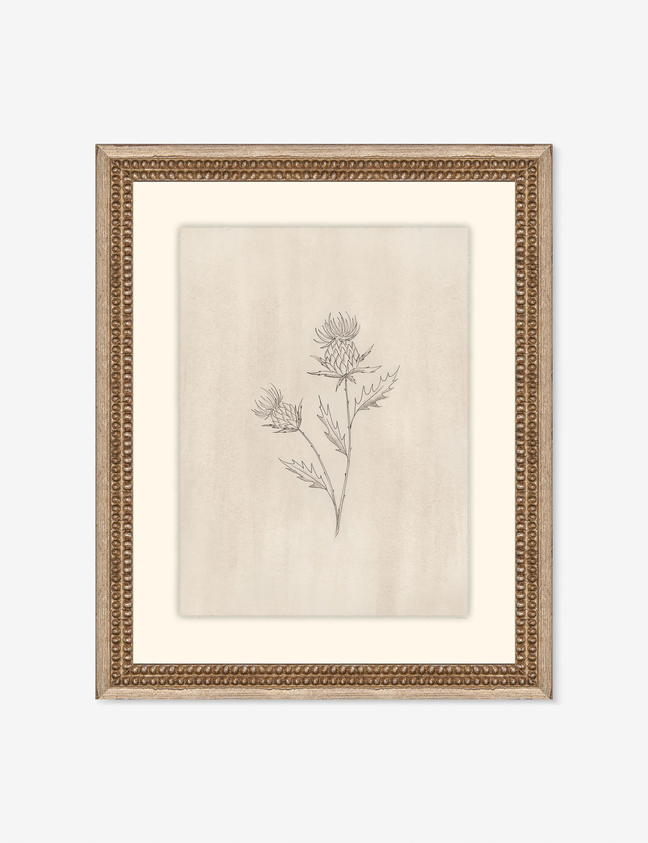 Elegant Botanical V Wall Art by Makai Howell | Lulu and Georgia 
