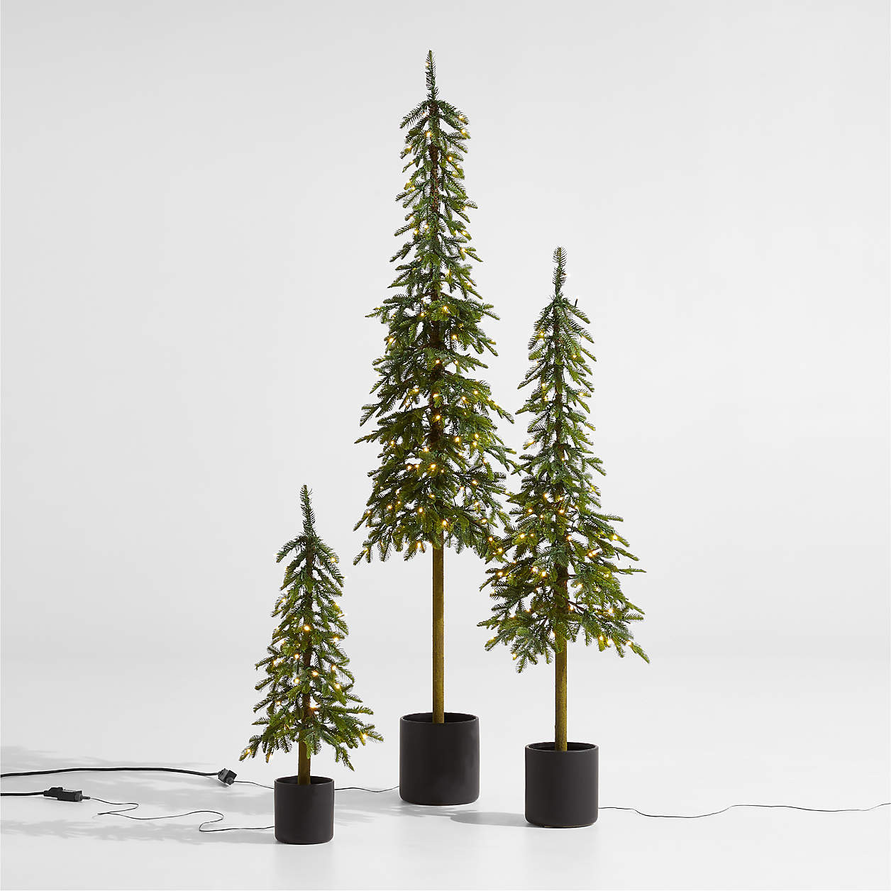Faux Potted Slim Alpine Pre-Lit LED Tree with White Lights 3' + Reviews | Crate & Barrel | Crate & Barrel