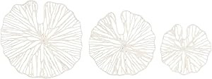 Creative Co-Op Handmade White Coral Shaped Paper & Metal Décor (Set of 3 Sizes) Wall Art | Amazon (US)