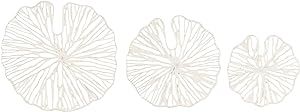 Creative Co-Op Handmade White Coral Shaped Paper & Metal Décor (Set of 3 Sizes) Wall Art | Amazon (US)