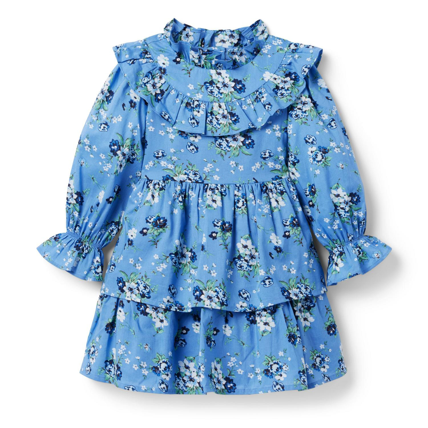 The City Garden Dress | Fall Girls Dress | Family Pictures | Fall Photos #LTKSeasonal #LTKmens  | Janie and Jack