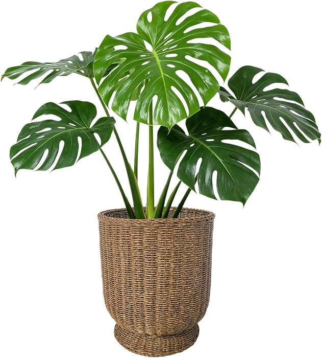 Rattan Planter, Woven Planter Basket for Plants Indoor Outdoor, Rattan Flower Pot, Decorative Pla... | Amazon (US)