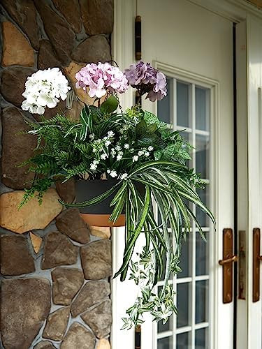 Hydrangea | Amazon (US)