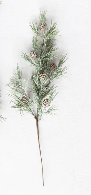 Pine Stems with Pinecones | Pepper + Vetiver