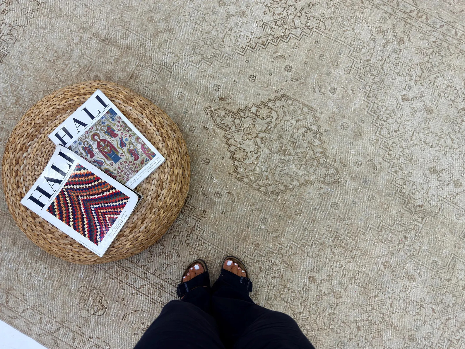 Large Tabriz  Rug: 6'7 x 10 ft, Muted Decorative Rug | Etsy (US)