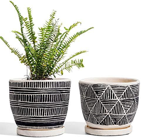 LE TAUCI Cement Planter, 5.5 Inch Succulent Pots, Boho Plant Pots with Drainage Holes & Saucers, ... | Amazon (US)