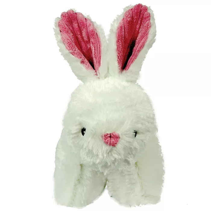 HuggleHounds Squooshie Durable Plush Toy for Dogs with Multiple Squeakers | Target