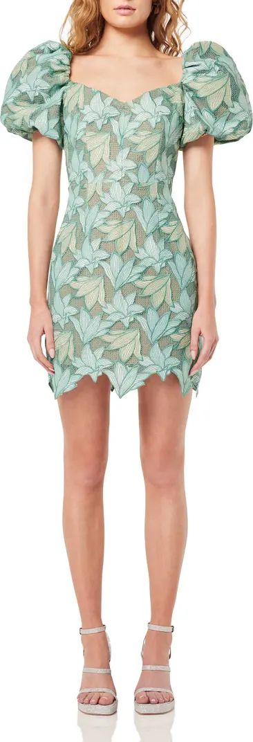 Glamour Floral Embroidery Puff Sleeve Minidress | Nordstrom