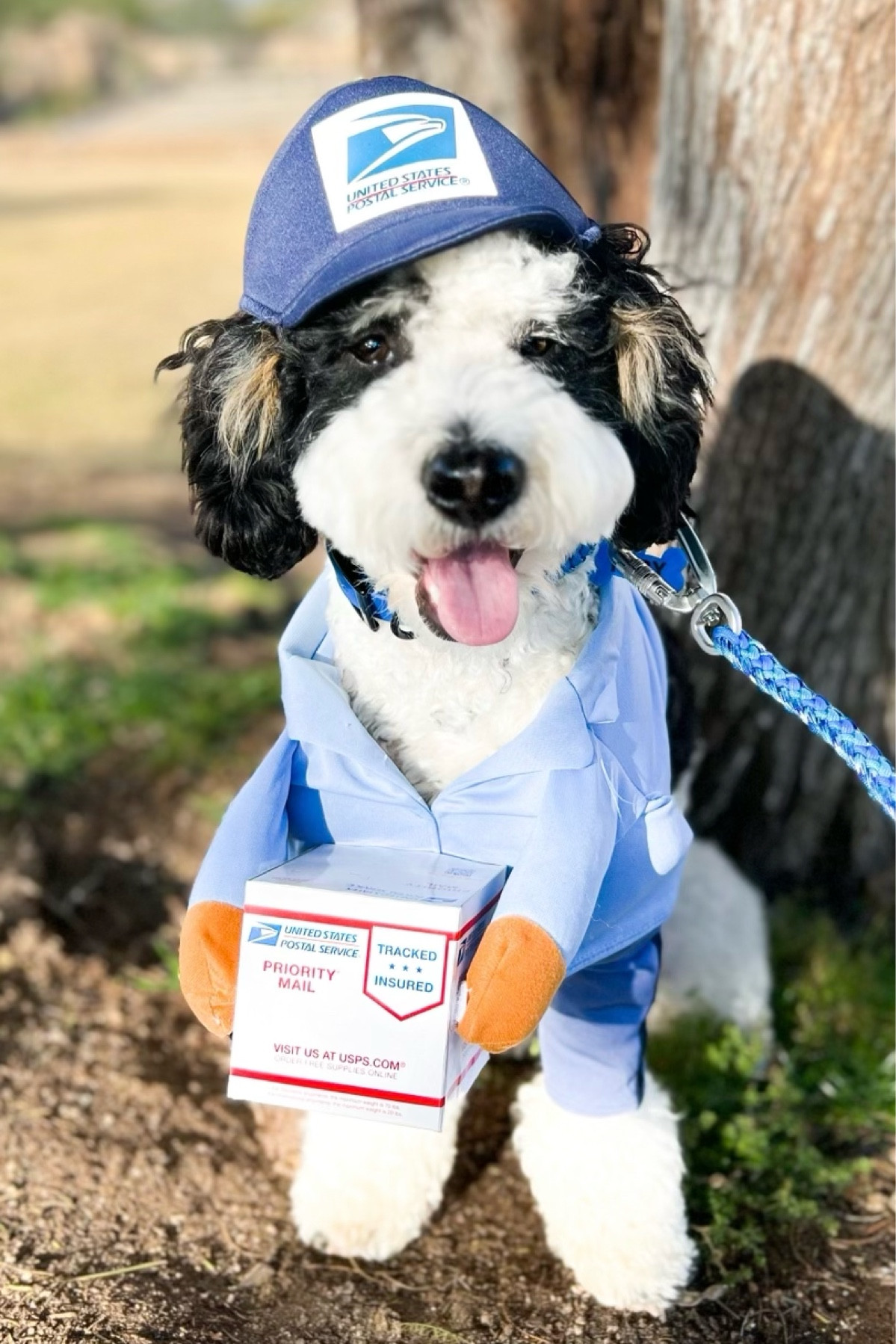 Checking the mail with this cute postman 

#LTKfamily #LTKunder50 #LTKFind