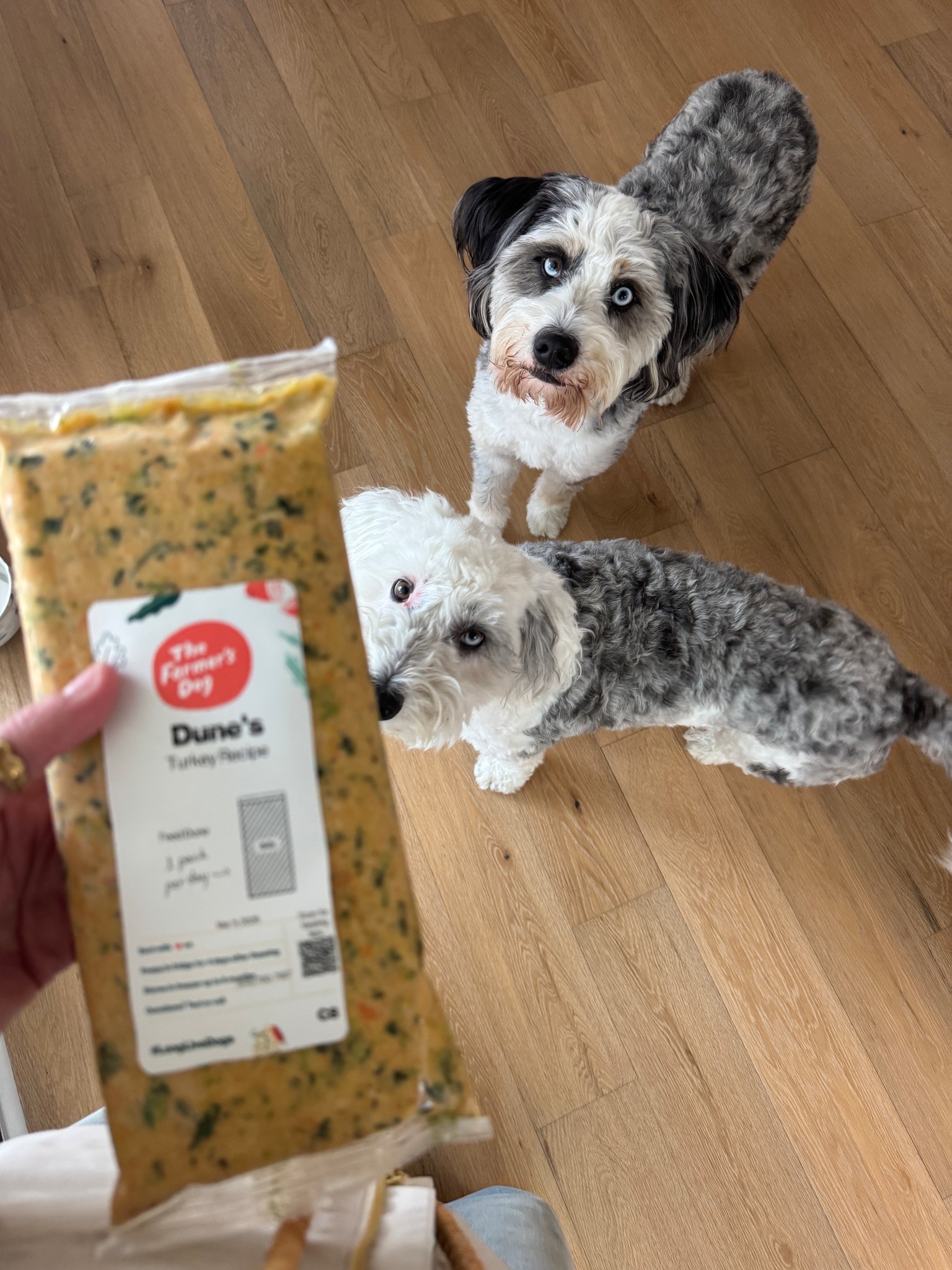 We have used the beef and turkey formulas since we got both dogs!   They loooooooove it and are so healthy 🙏🙏🙏.  There’s an on site code for a starter discount.  

#LTKSaleAlert