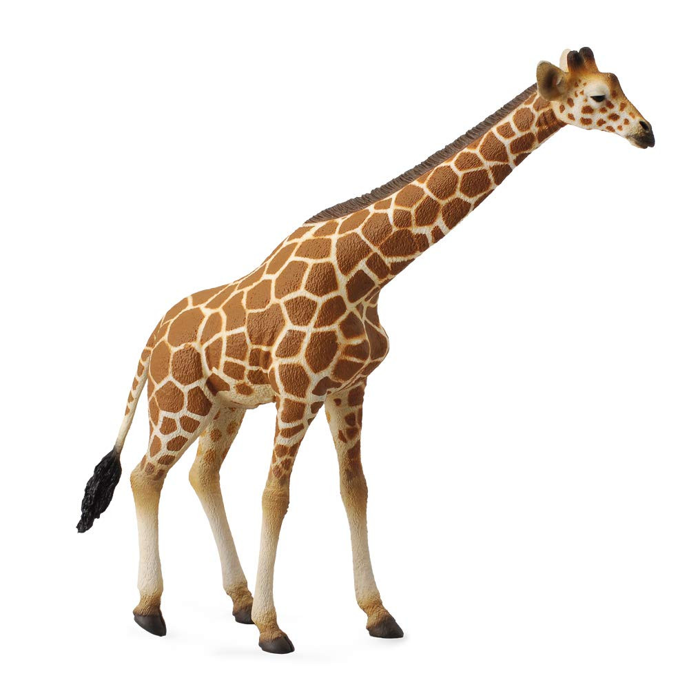 CollectA Wildlife Reticulated Giraffe Toy Figure - Authentic Hand Painted Model | Amazon (US)