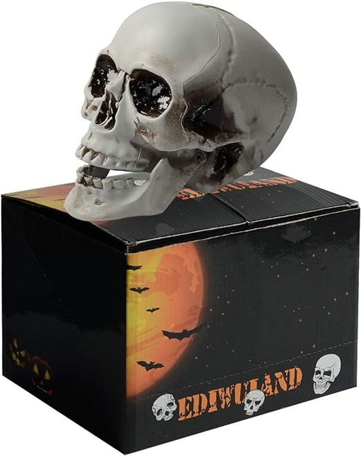 1PCS Plastic Realistic Fake Simulation Human Skull Head Bone Model Halloween Prop Realistic Skele... | Amazon (US)