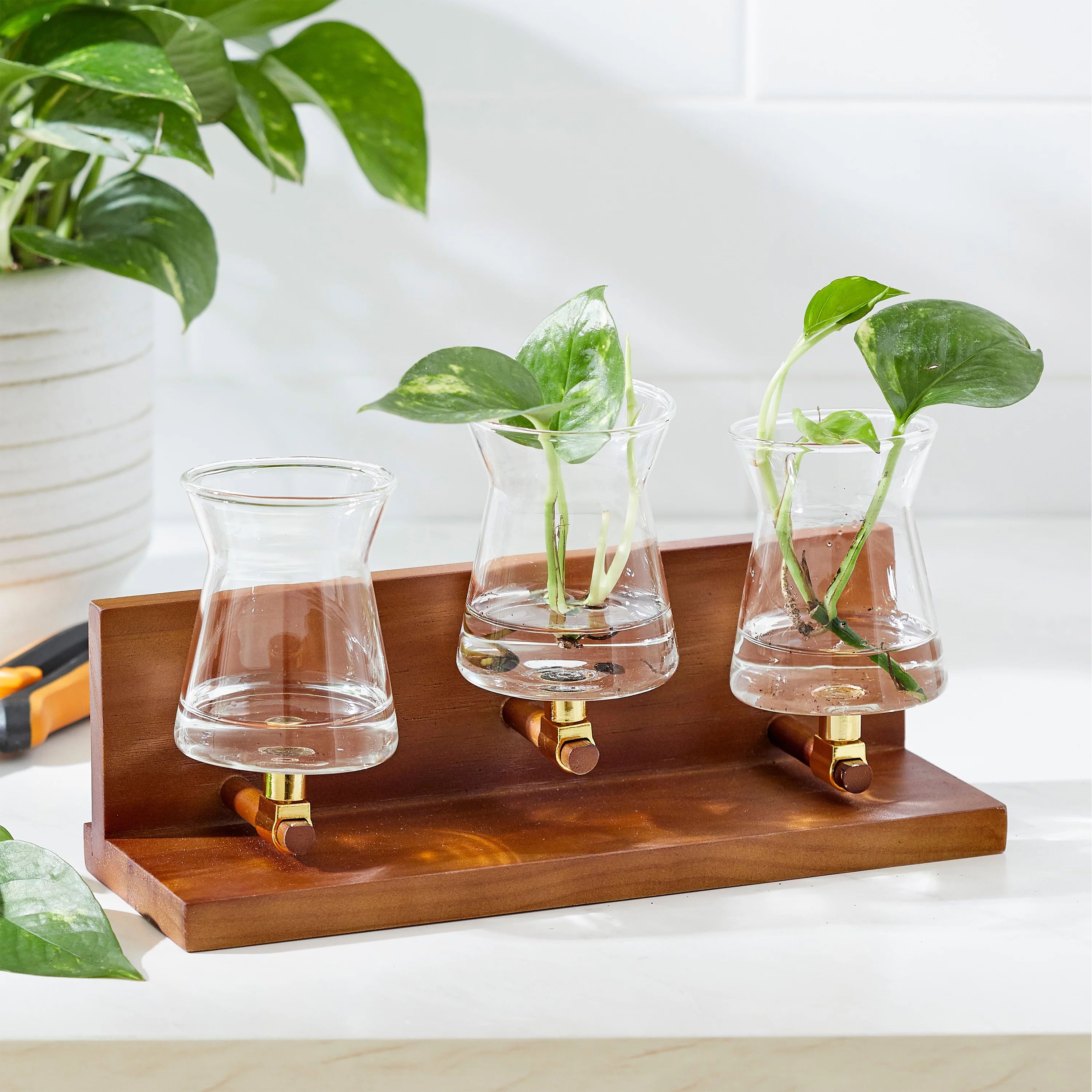 Better Homes and Gardens 3 Beaker Propagation Station, Beige Wood and Clear Glass | Walmart (US)