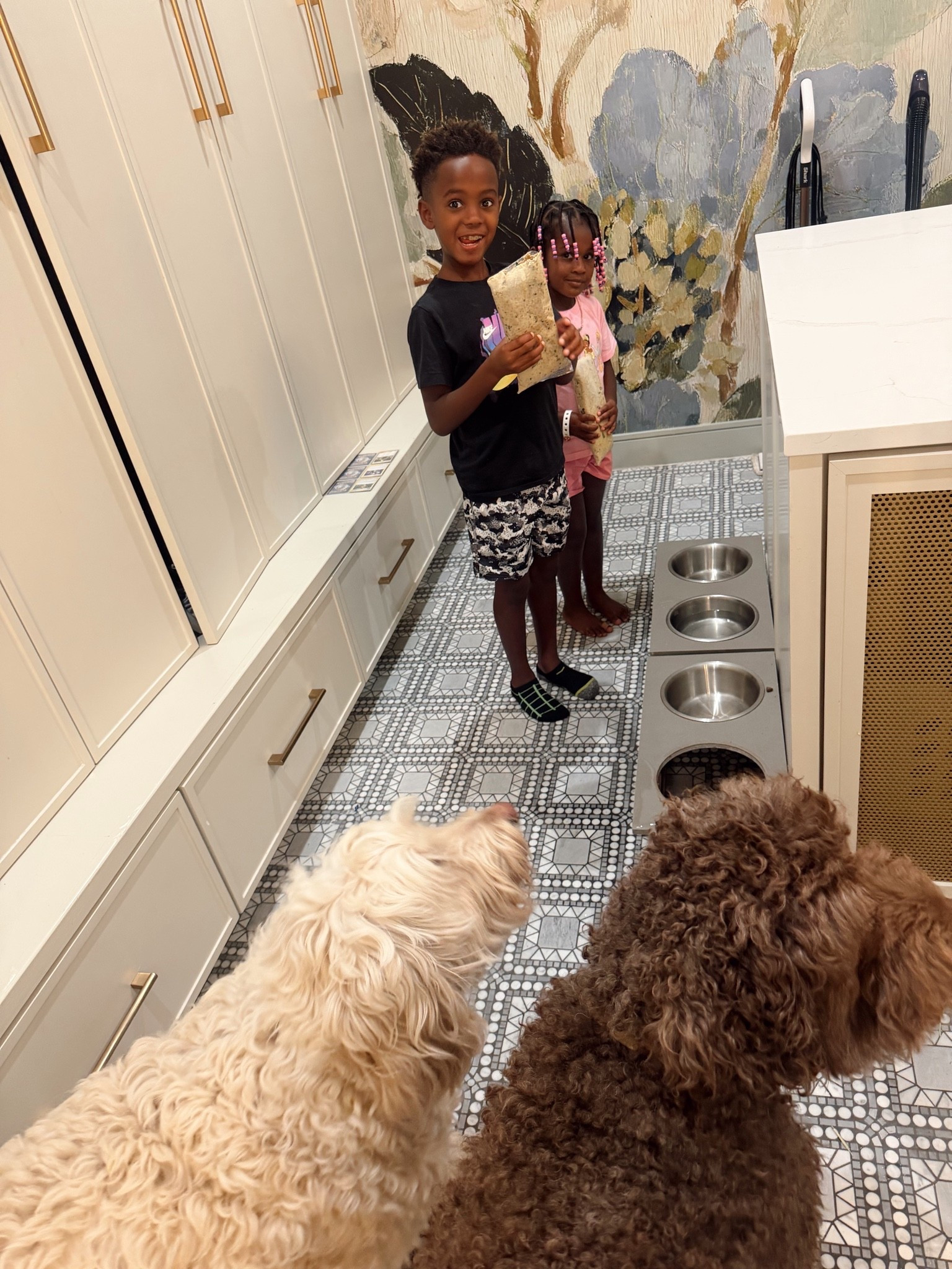 Conan loves his dog food with whole meats & veggies! You can get 60% off your first box of fresh dog food with my link 👏🏾 @thefarmersdog #TFDpartner #thefarmersdog

#LTKmomlife #LTKdayinmylife