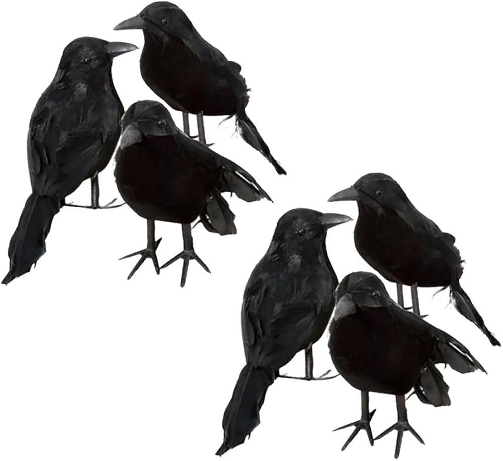 ZODIFEVI 6 Pack Realistic Crows, Real Touch Black Feathered Crows, Halloween Decorations,Artifici... | Amazon (US)