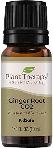 Plant Therapy Ginger Root CO2 Essential Oil 100% Pure, Undiluted, Natural Aromatherapy, Therapeutic  | Amazon (US)
