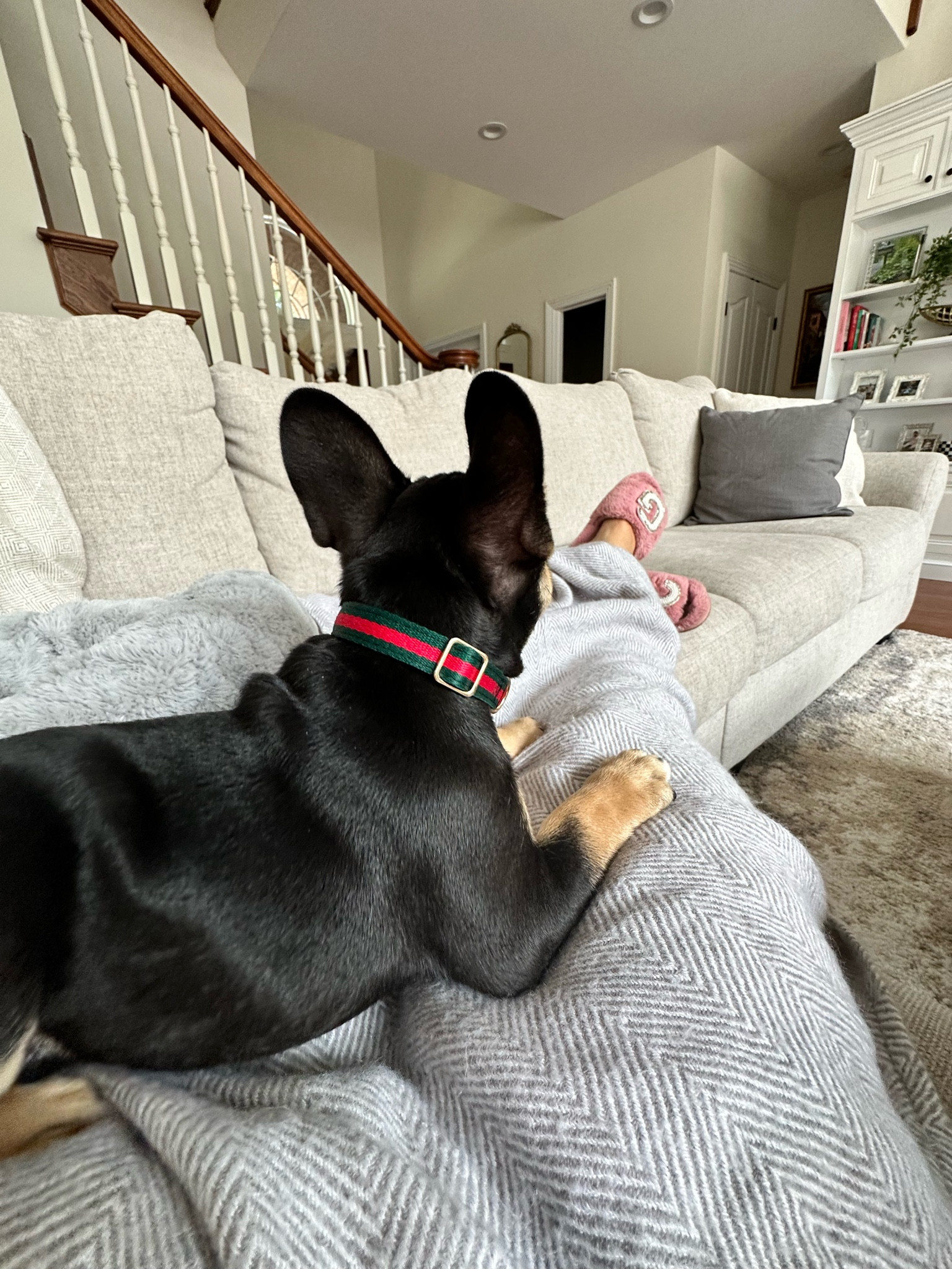 lazy mornings

#LTKhome #LTKFind #LTKfamily