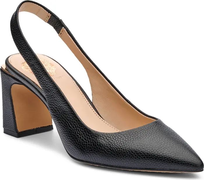 Hamden Pointed Toe Slingback Pump (Women) | Nordstrom