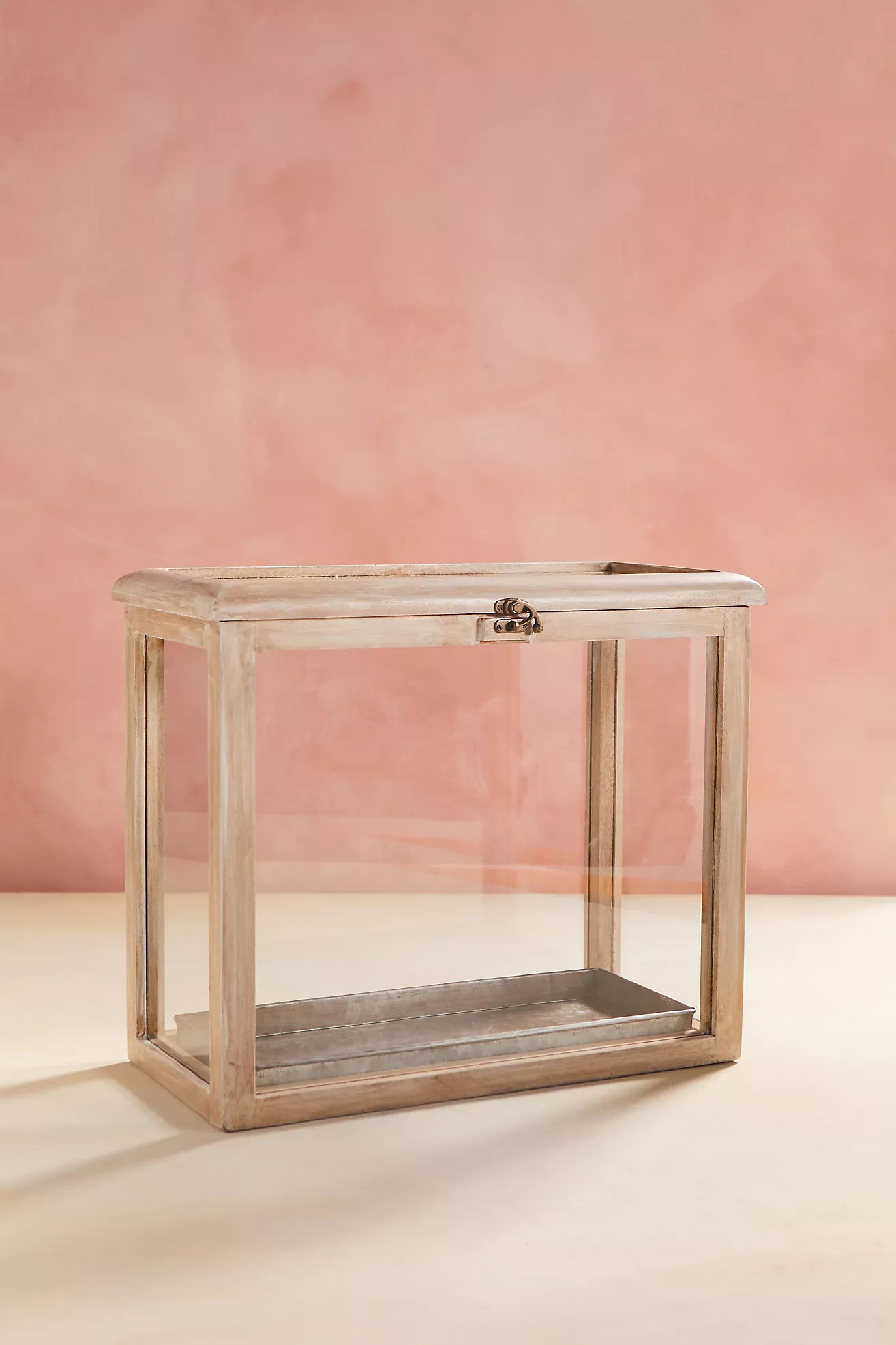 Terrarium Display Box | Anthropologie (US)