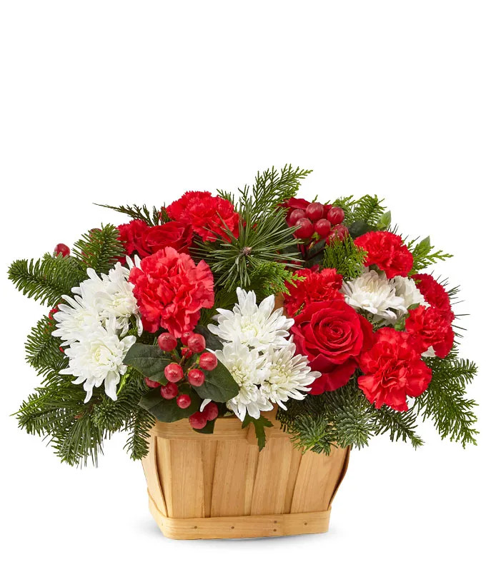 Good Tidings Evergreen Basket | From You Flowers