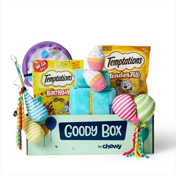 Goody Box Birthday Cat Toys, Treats & Collar | Chewy.com