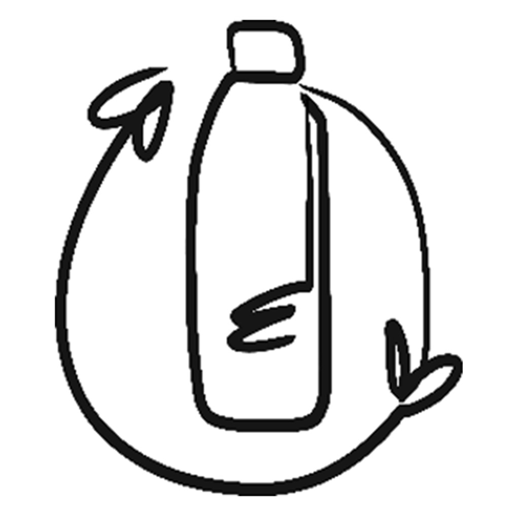 Tropical | Carve Designs