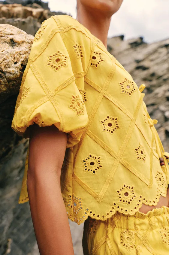 EMBROIDERED EYELET TOP | Zara US
