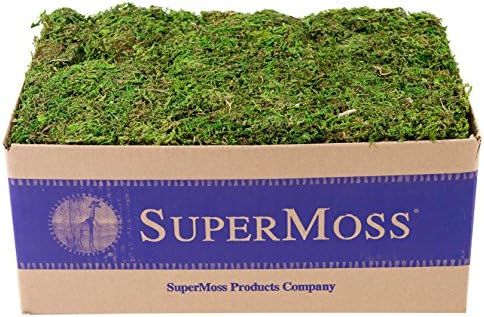 SuperMoss (23805) Mountain Moss Preserved, Fresh Green, 3lbs | Amazon (US)